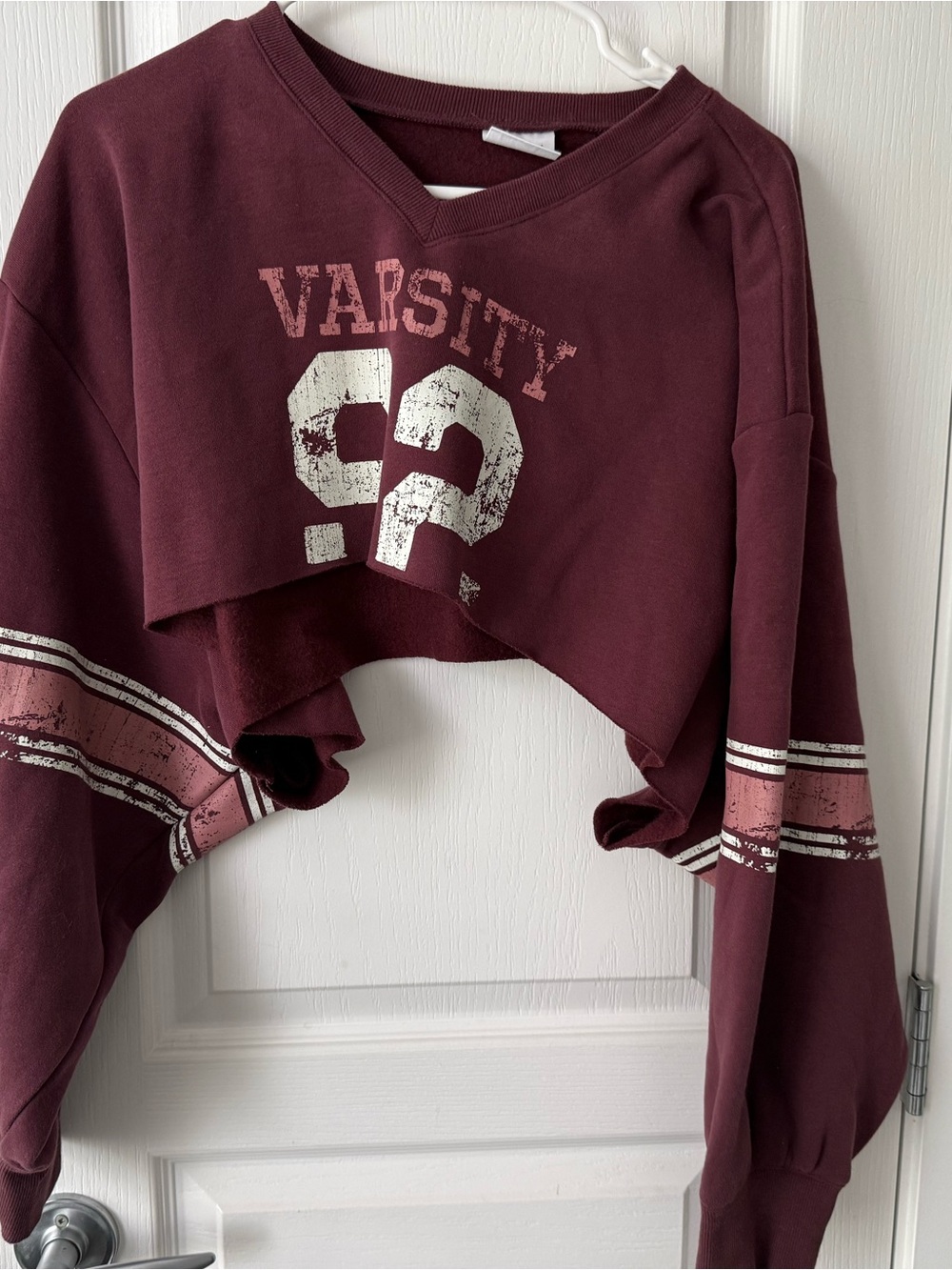 Urban Outfitters Rose Burgundy Cropped Sweatshirt